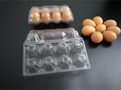 吸塑鸡蛋内托样品展示