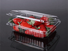 水果吸塑包装样品展示